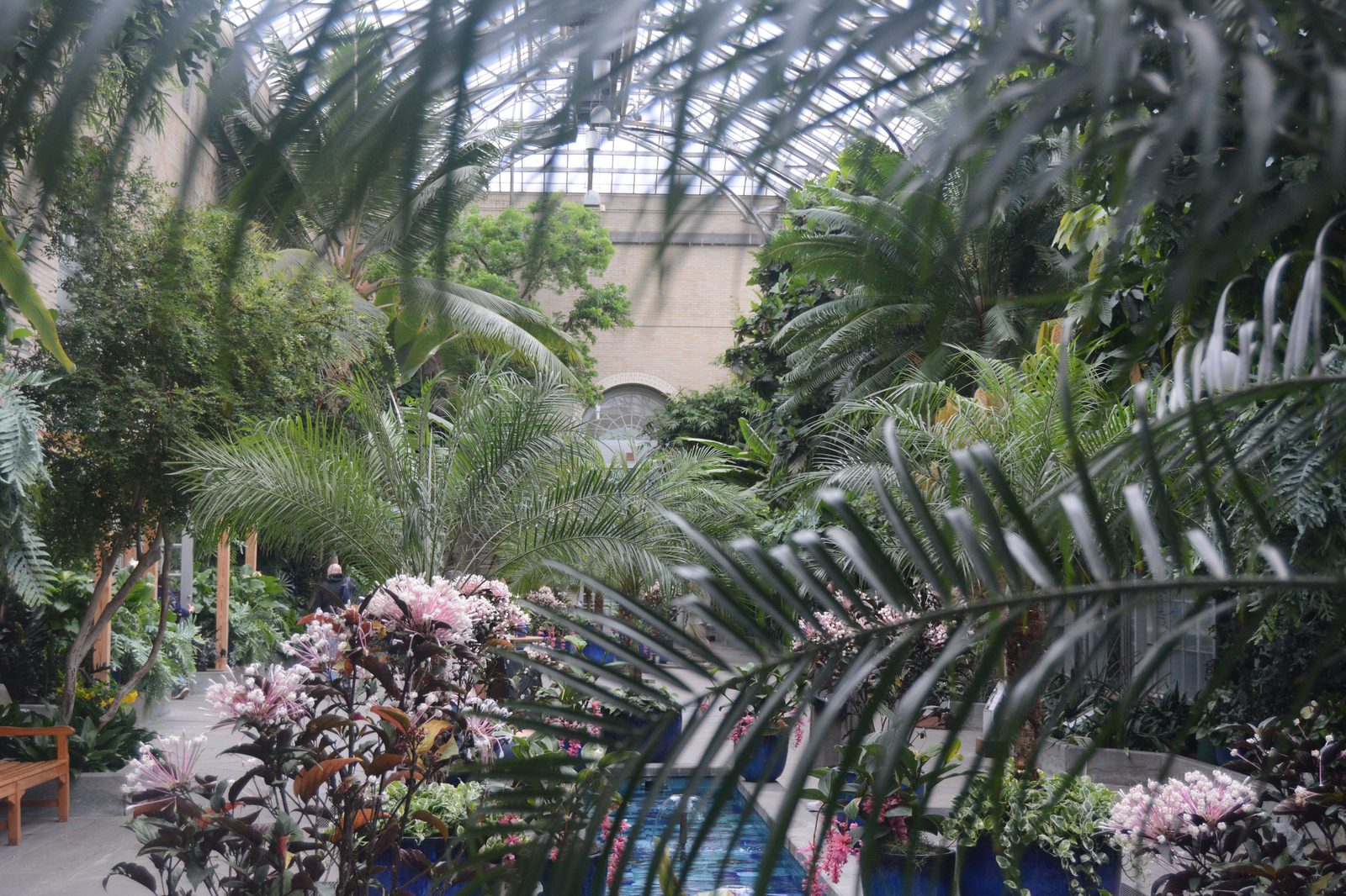 Conservatory Garden Interior