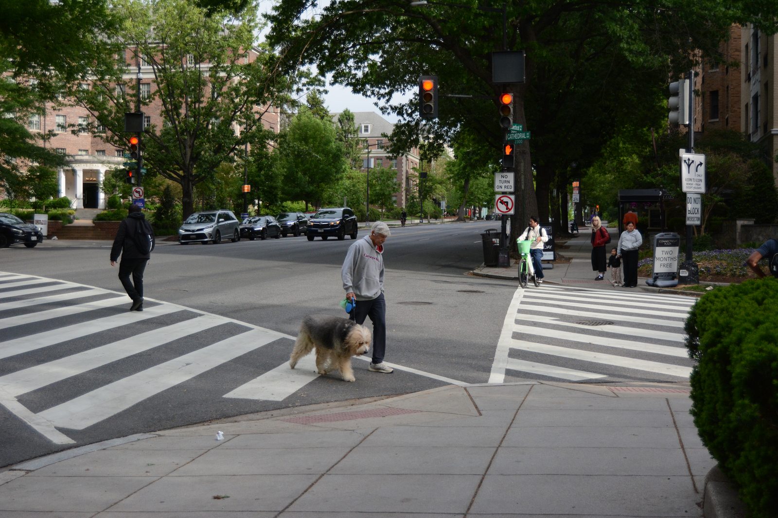 Man with Dog at Crosswalk