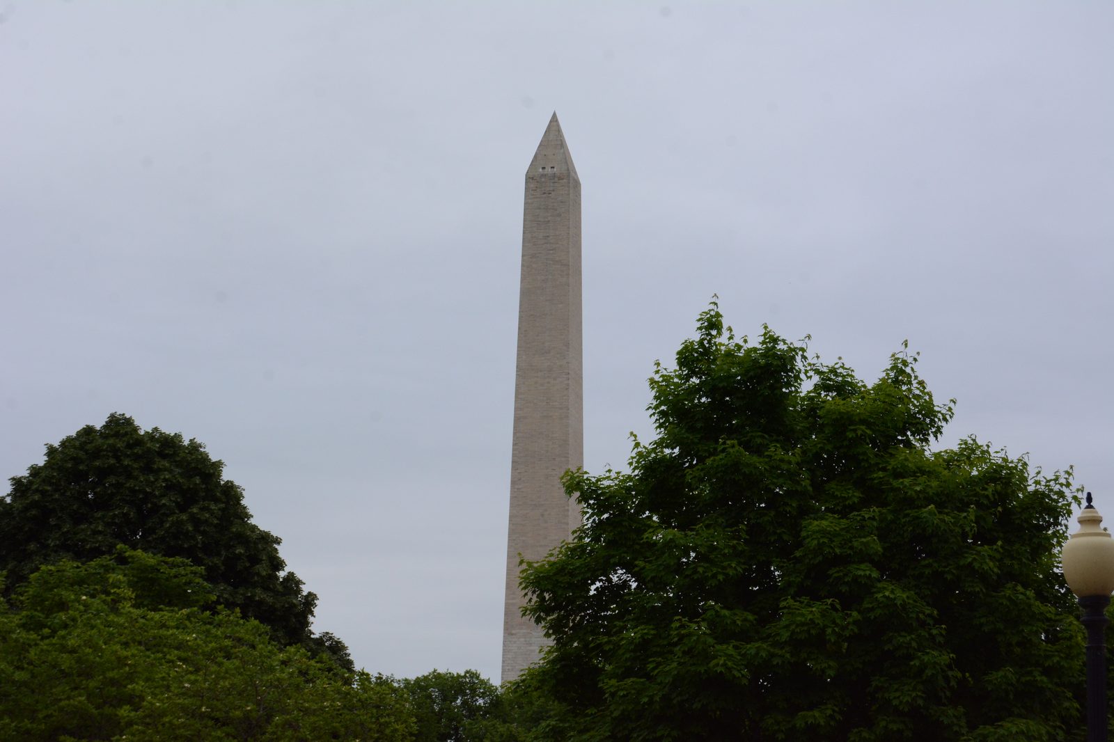 Washington Monument Through Trees