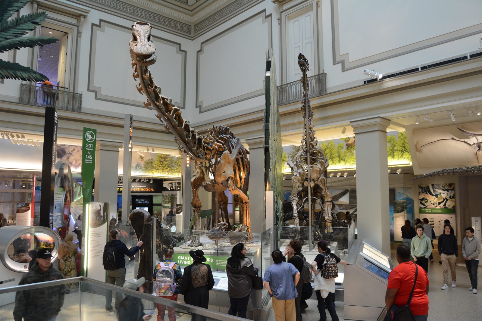 Dinosaur Hall