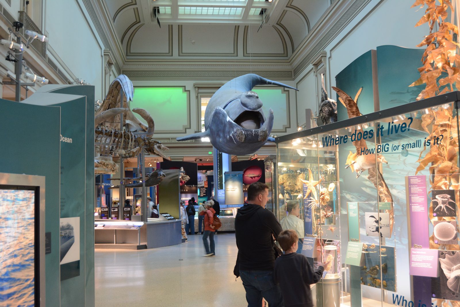 Ocean Hall